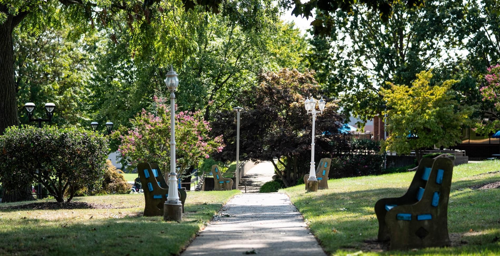 Tree lined path on Holy Family's campus